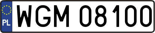 WGM08100