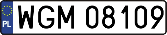 WGM08109