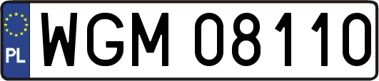 WGM08110