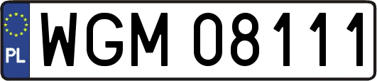 WGM08111