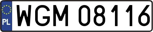 WGM08116