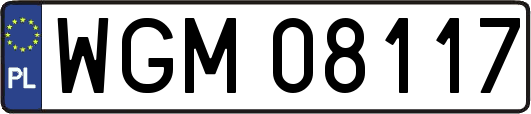 WGM08117