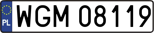 WGM08119