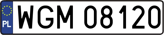 WGM08120