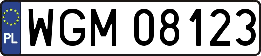 WGM08123