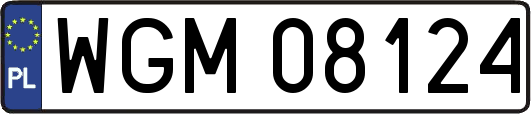 WGM08124