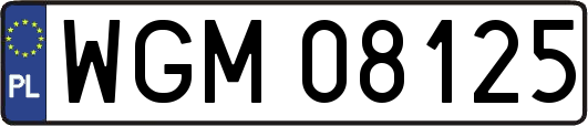 WGM08125