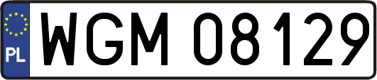 WGM08129