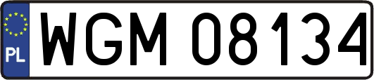 WGM08134