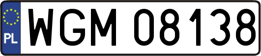 WGM08138
