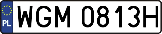 WGM0813H