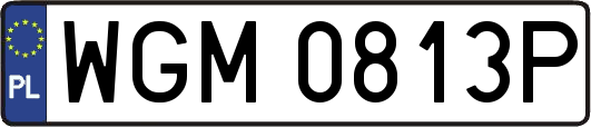 WGM0813P
