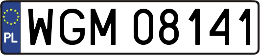 WGM08141