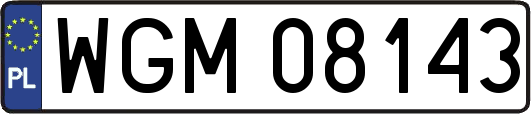 WGM08143