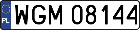 WGM08144