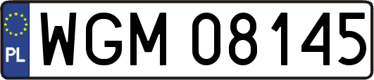WGM08145