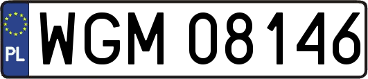 WGM08146