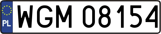WGM08154