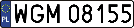 WGM08155