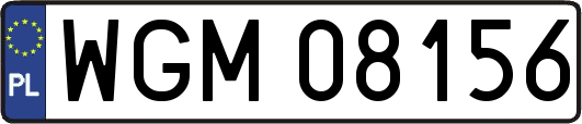 WGM08156