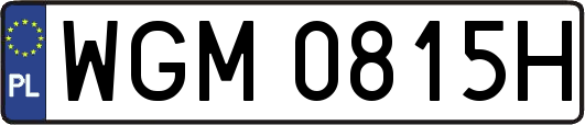 WGM0815H