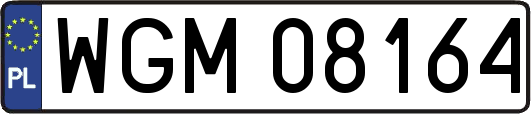 WGM08164