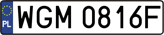 WGM0816F