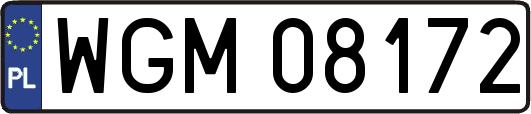 WGM08172