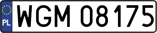 WGM08175