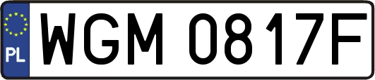 WGM0817F
