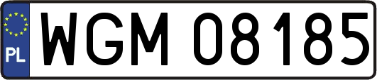 WGM08185