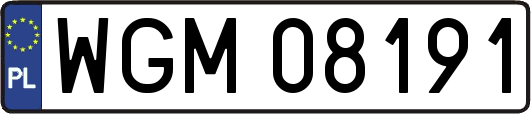 WGM08191