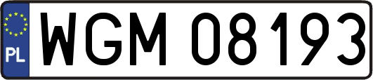 WGM08193