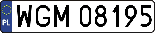 WGM08195