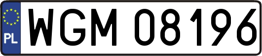 WGM08196