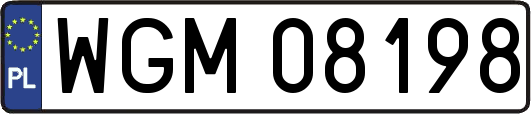 WGM08198