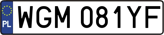 WGM081YF