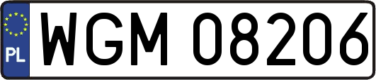 WGM08206