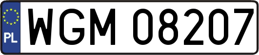 WGM08207