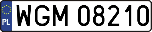 WGM08210