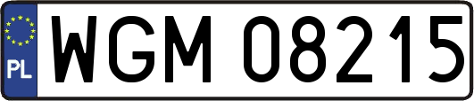 WGM08215
