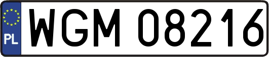 WGM08216