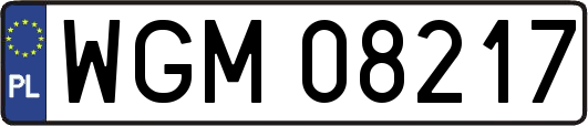 WGM08217