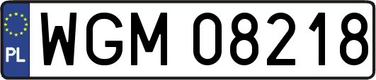 WGM08218