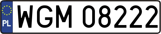 WGM08222