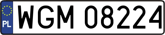 WGM08224