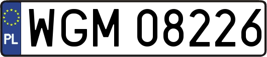 WGM08226