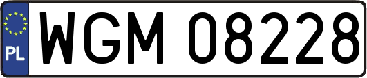 WGM08228