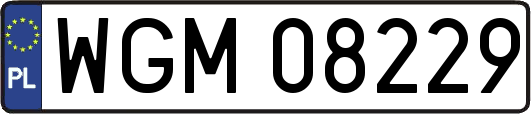 WGM08229