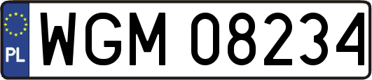 WGM08234